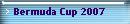 Bermuda Cup 2007