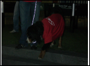 bermudacup2006-169.JPG